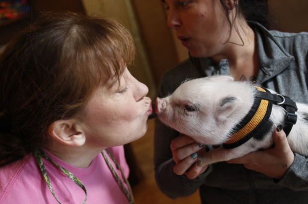 Animal shots of the week